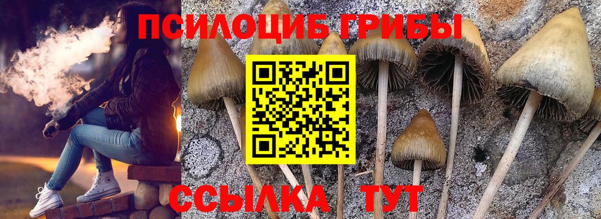 Галлюциногенные грибы Psilocybine cubensis  Вход с VPN  Псилоцибиновые грибы Magic Shrooms  Баксан 