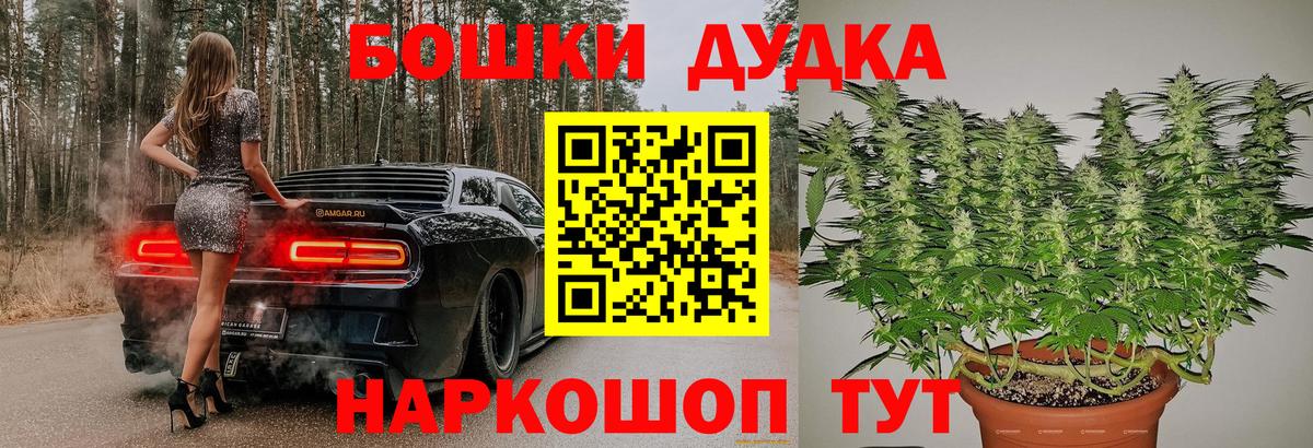 Баксан  Конопля план  Марихуана планчик  Конопля AK-47  Вход с VPN 